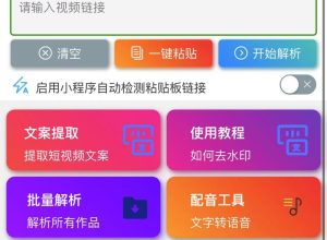 短视频去水印小程序流量主最新接口带配音功能(包更新)-精品源码资源网-网站源码,小程序源码,公众号模块,APP源码