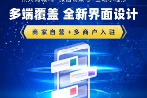 【独立版】点大商城V2_2.6.4全开源VUE商城小程序,新增买单订单退款(PC后台)-精品源码资源网-网站源码,小程序源码,公众号模块,APP源码
